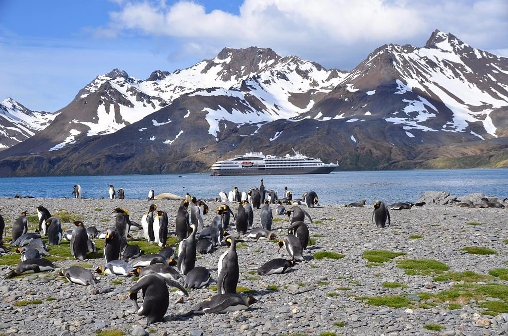 Gem 1 in South Georgia Island — GoAtlas