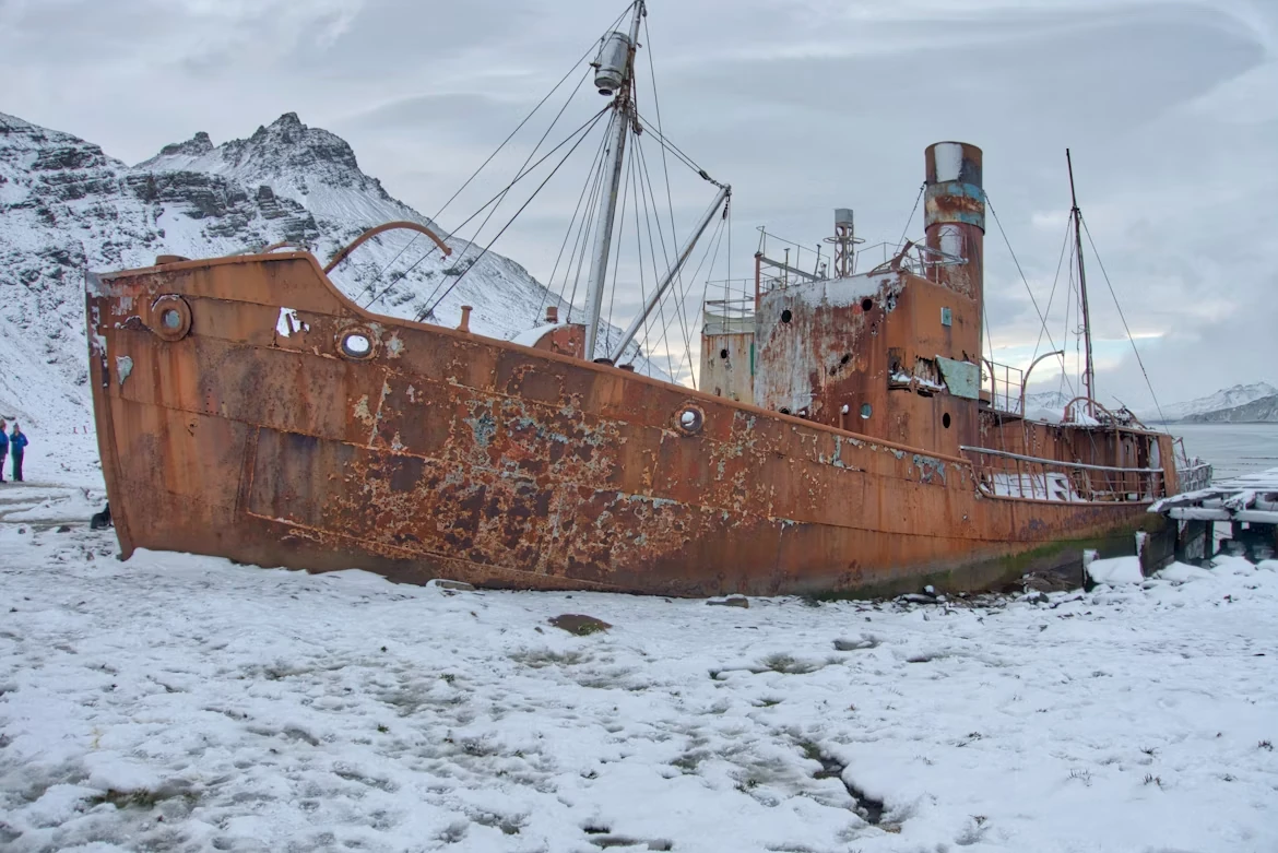 Photo 2 in South Georgia Island — GoAtlas