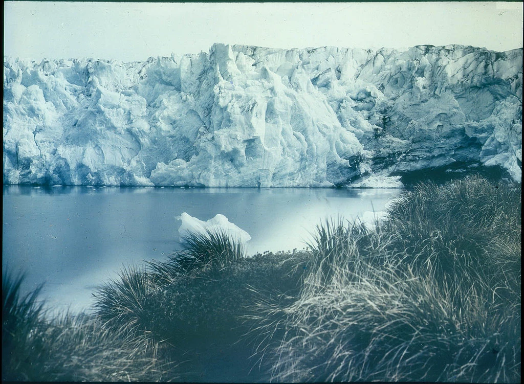 Photo 3 in South Georgia Island — GoAtlas