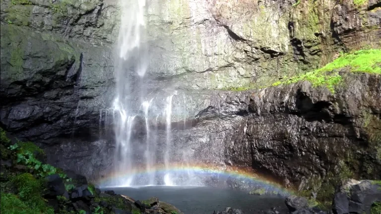 Photo 3 in Tahiti — GoAtlas