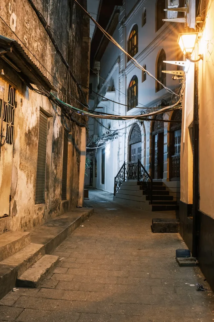 Tanzania Stone Town Doors — GoAtlas travel photo
