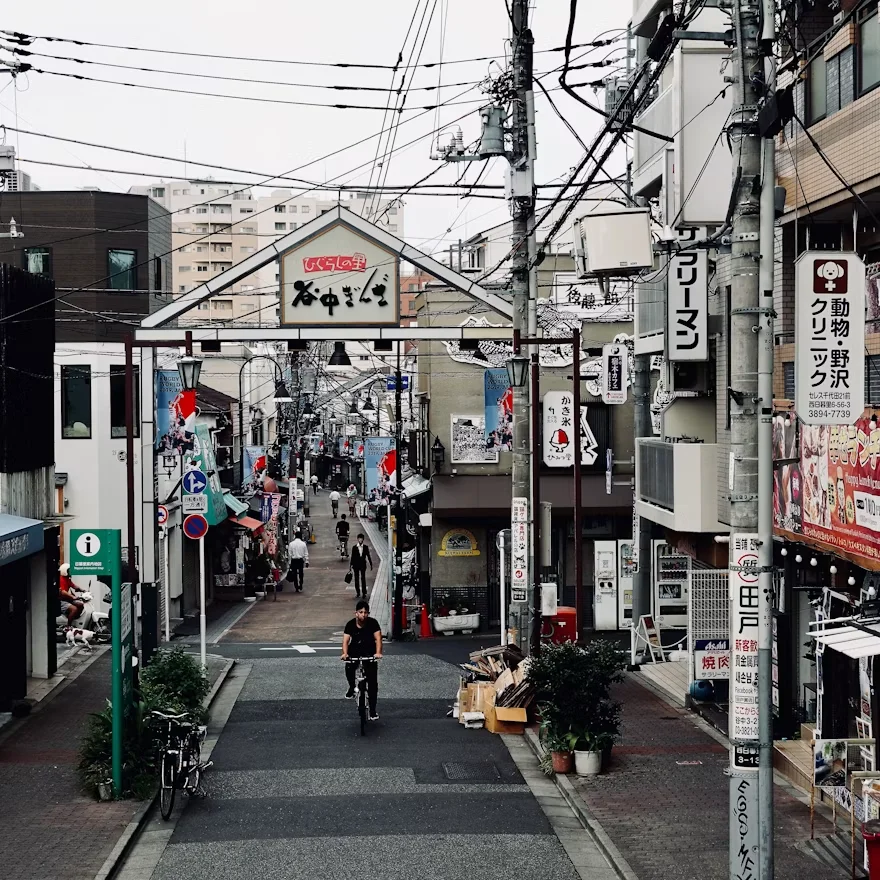 Gem 1 in Tokyo — GoAtlas