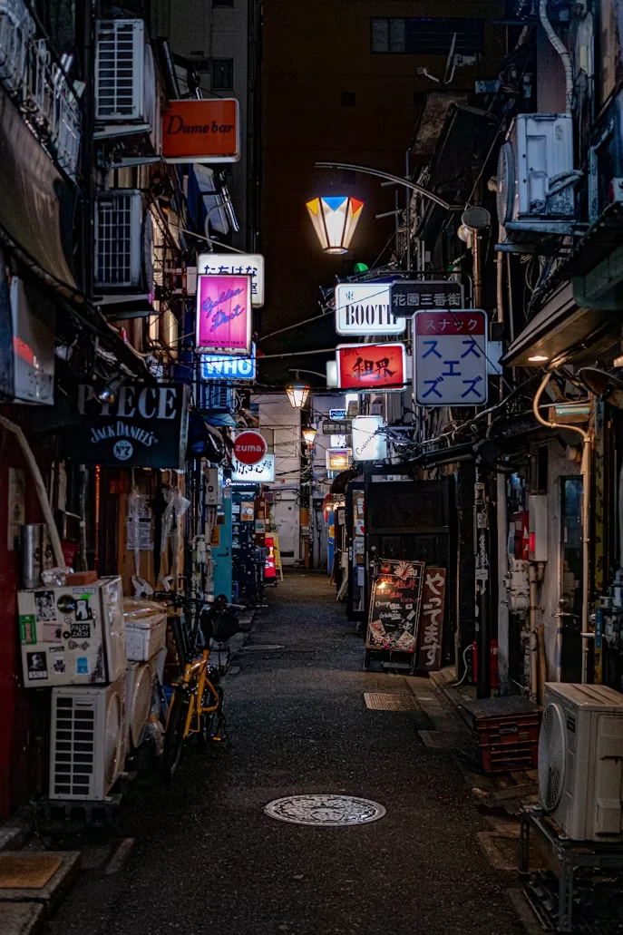 Gem 2 in Tokyo — GoAtlas